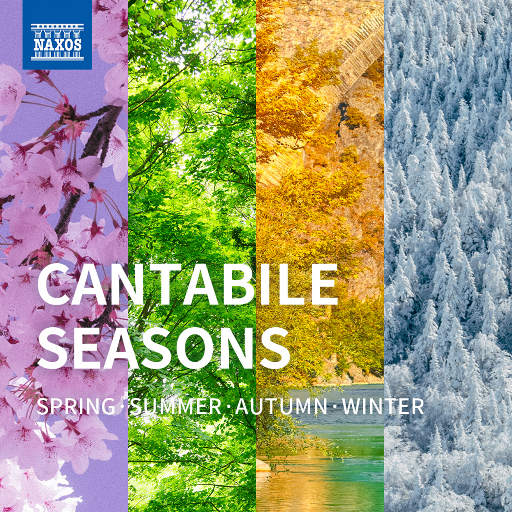 重囗味临盆孕妇虐孕AV
